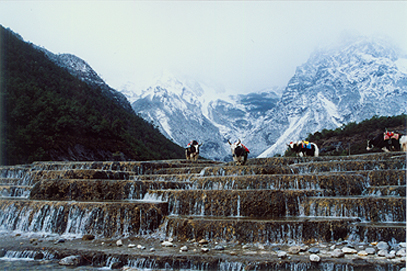 云南印象之一雪山神韵 摄影 greenkngdom