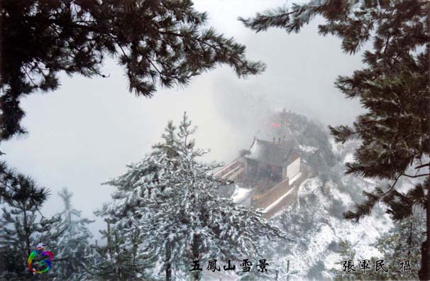 五凤山雪景 摄影 高山峻岭