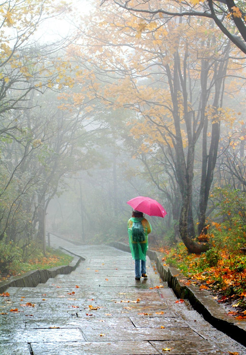 《烟雨小径》 摄影 山脉