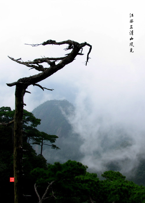 走近三清山 摄影 归原居士