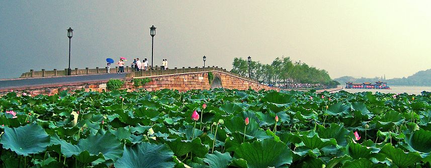 西湖 摄影 夏雨18