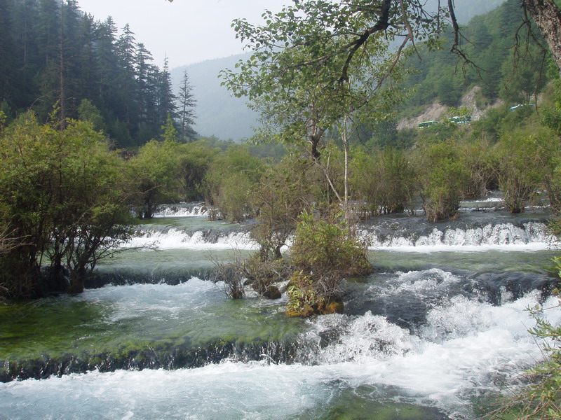 水与树 摄影 八天河