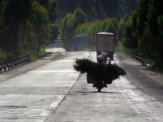 公路“飞鹰” 摄影 含川