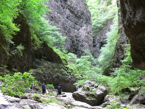 游走在山涧 摄影 怪兽零零发