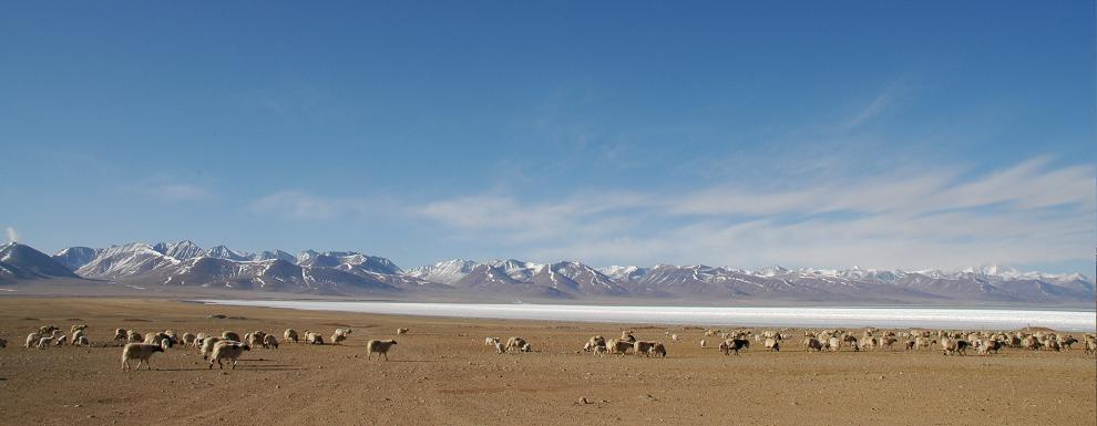 Lhasa 摄影 kahang