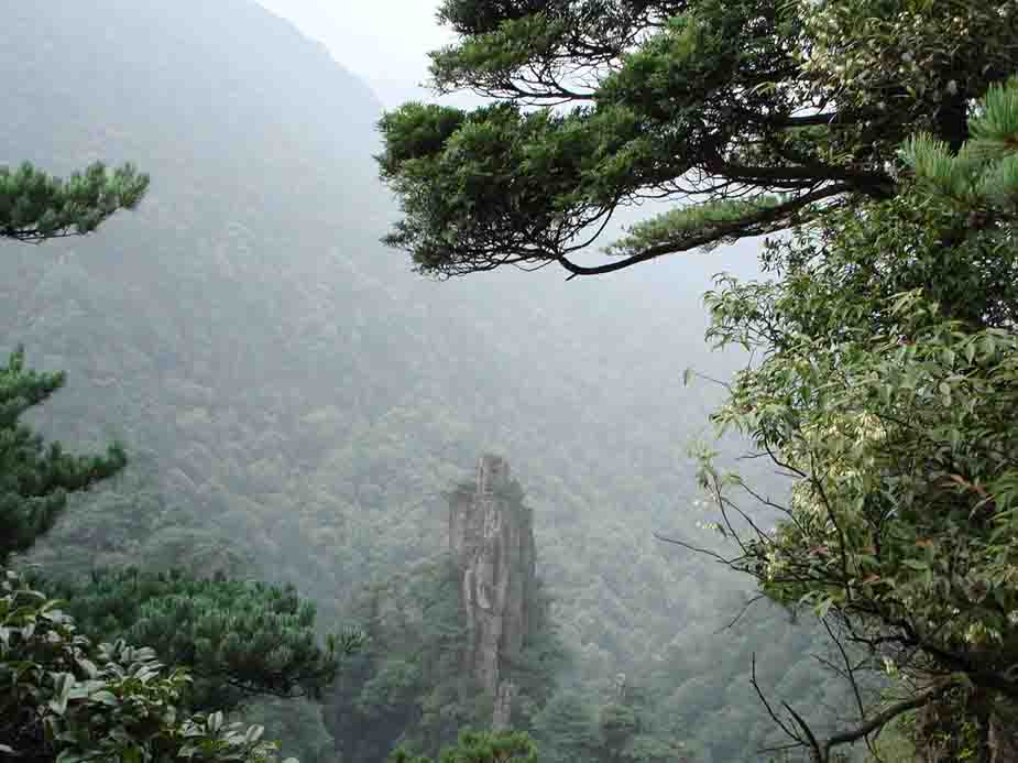 山青 摄影 河边小草