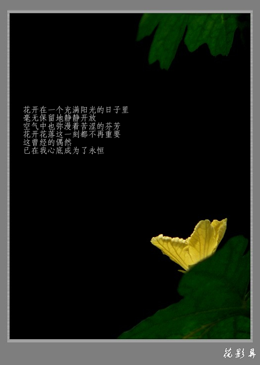 苦中作乐 摄影 花影弄