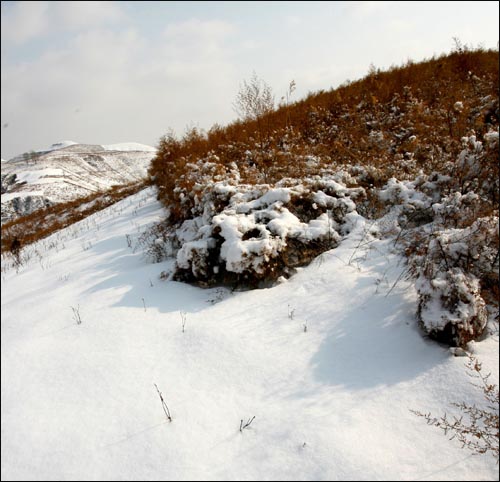 雪 摄影 黄土地