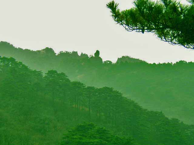 飞石望松 ---黄山 摄影 甲由田