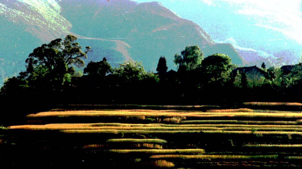 山村 摄影 紫蒂