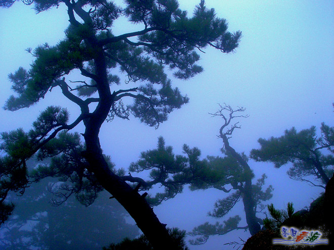 松姿 摄影 冬日看海