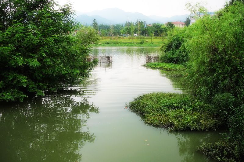 西溪湿地（3） 摄影 希言