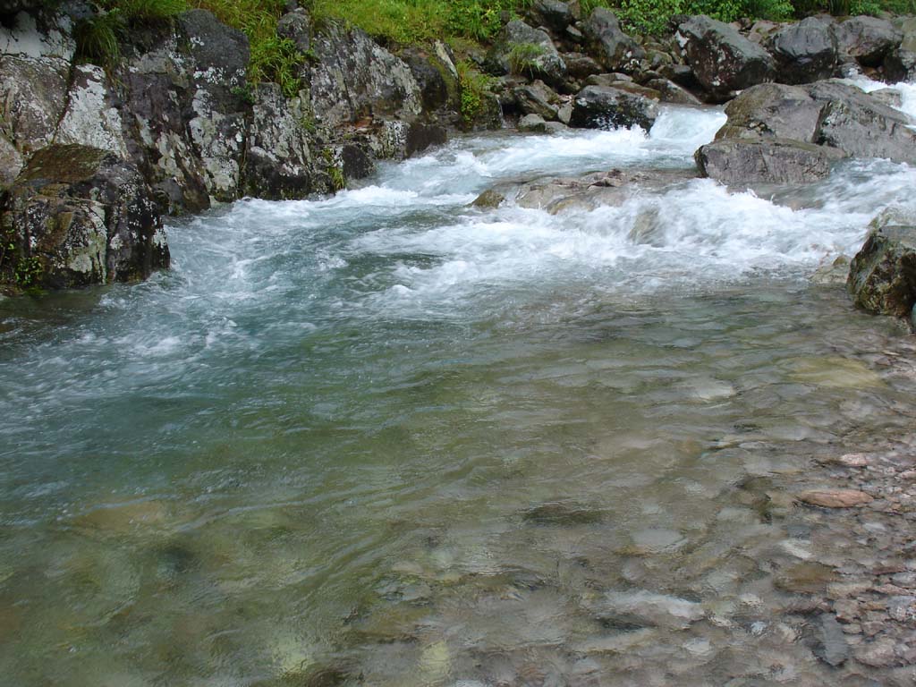 温州雁荡山 摄影 名流0576