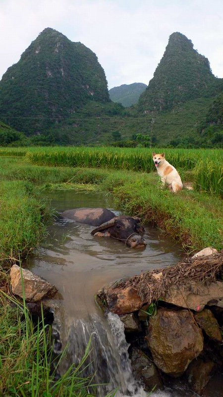 和谐 摄影 阿民zhou