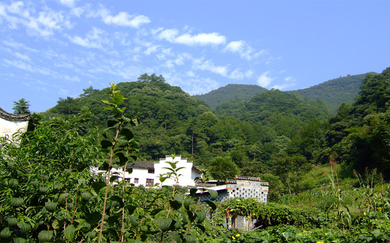 山里人家 摄影 科技之光