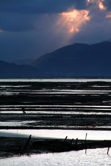 夕照滩涂 摄影 五月天