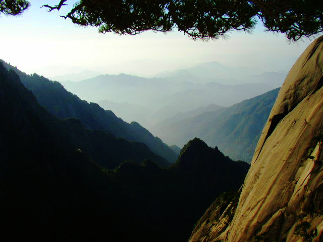 黄山－松涛峰浪 摄影 甲由田