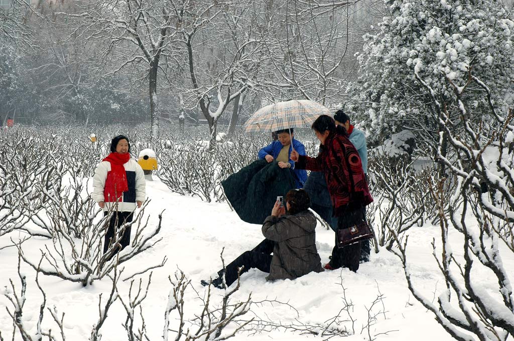 照雪景 摄影 tyzmy