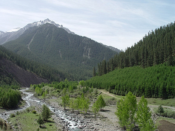 寺大隆 摄影 weixianghua