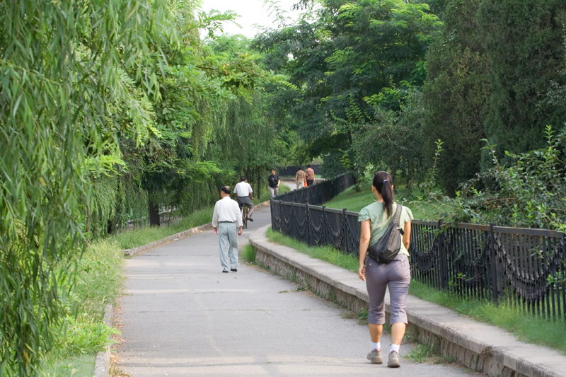 晨间小路 摄影 吉尔菲艾斯