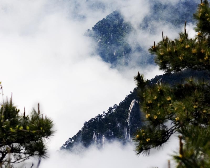 云涌庐山 摄影 沧海横流