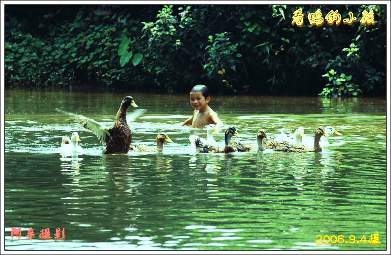 看鸭的小孩 摄影 阿辛