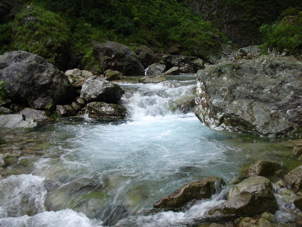 温州雁荡山 摄影 名流0576