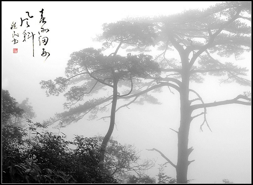 春雨细 西风斜 摄影 闪闪红星