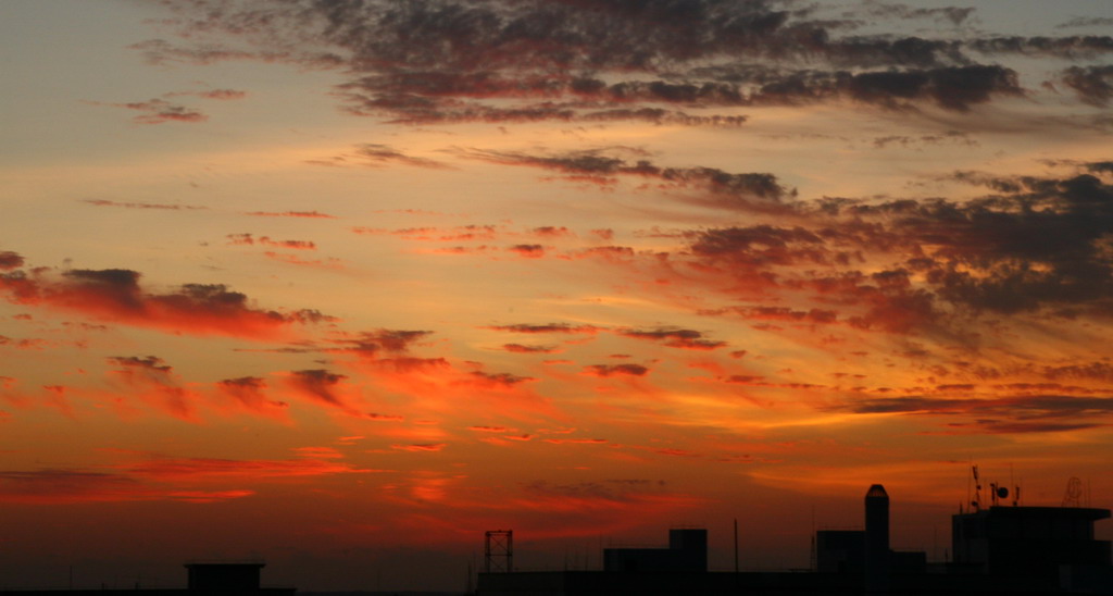 几度夕阳红 摄影 落樱缤纷