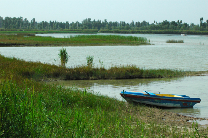 黑河湿地 摄影 weixianghua