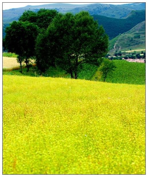 长城岭风光 摄影 夏宇