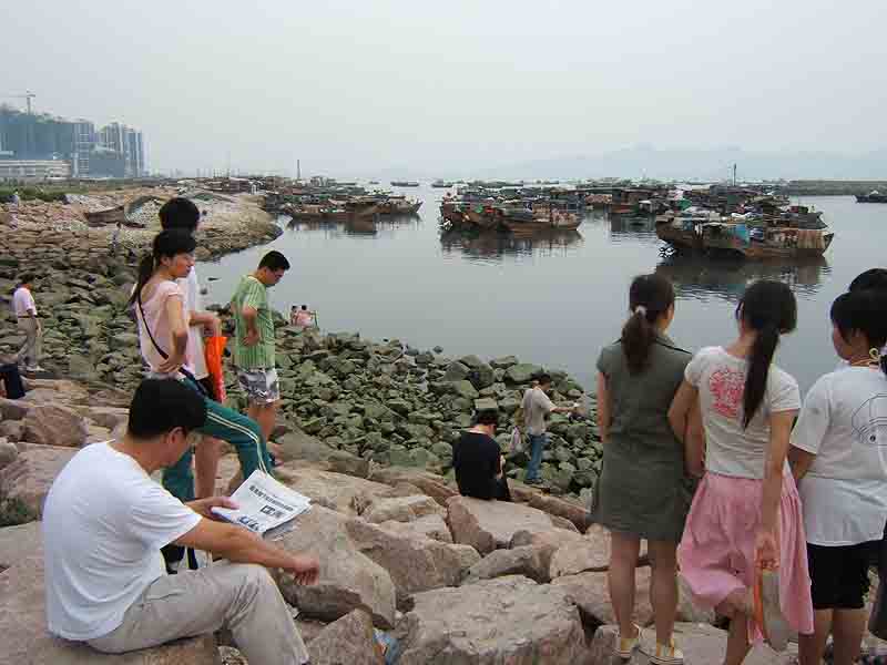 城市海湾 摄影 yansong