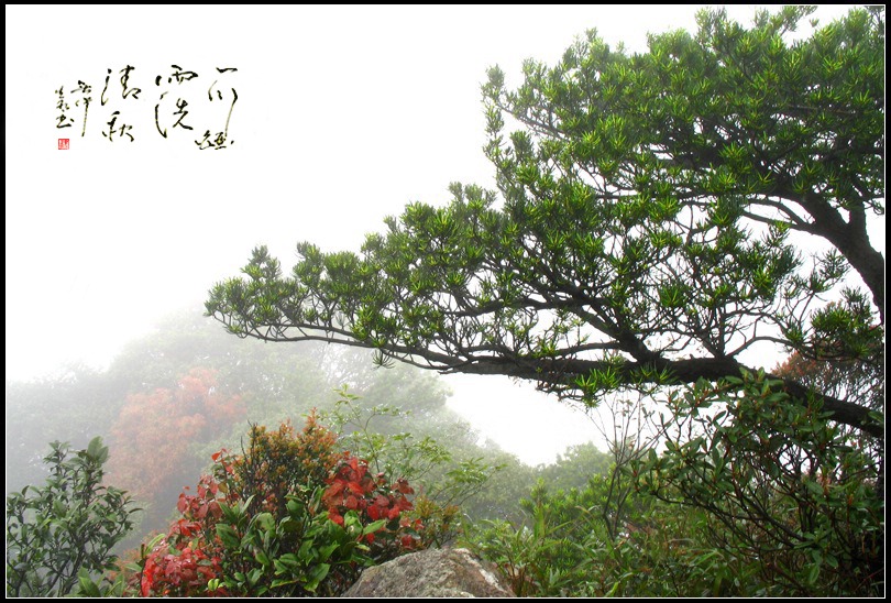 一川烟雨洗清秋 摄影 闪闪红星