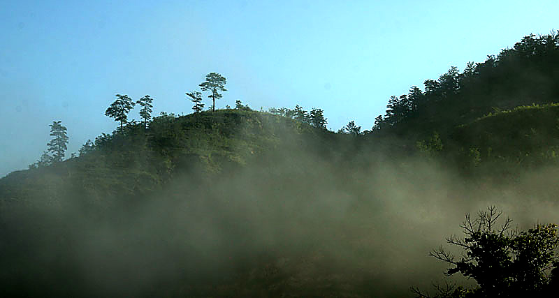 秋天的早晨 摄影 行云流水SU