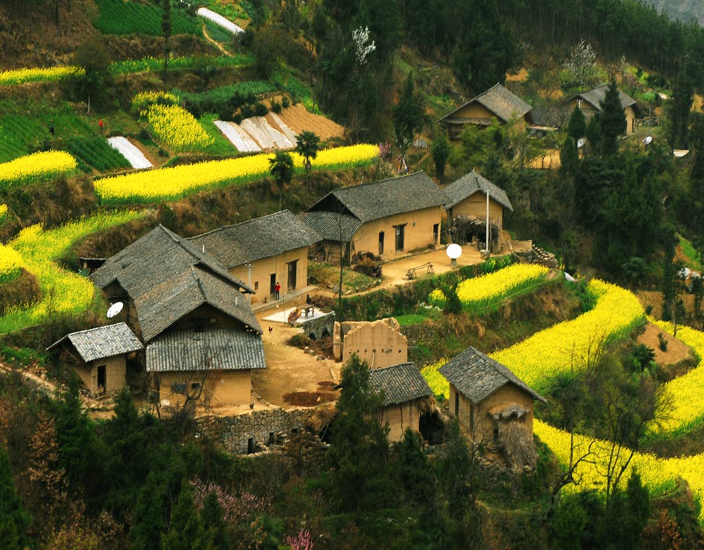 春到乡村 摄影 邓小进1128