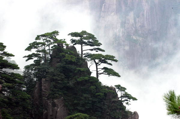 黄山 摄影 丁波