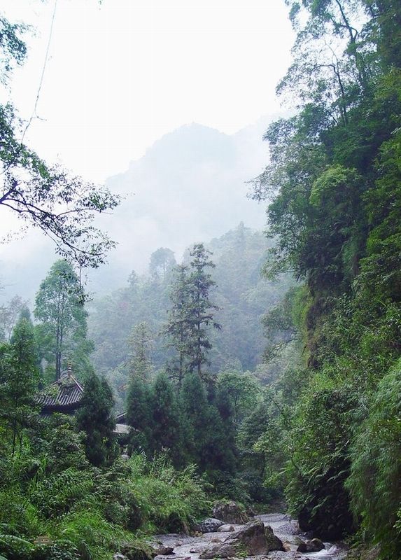 峨眉天下秀 摄影 山草