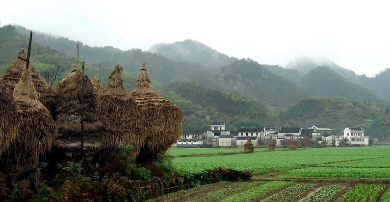 秋日乡村 摄影 左溪