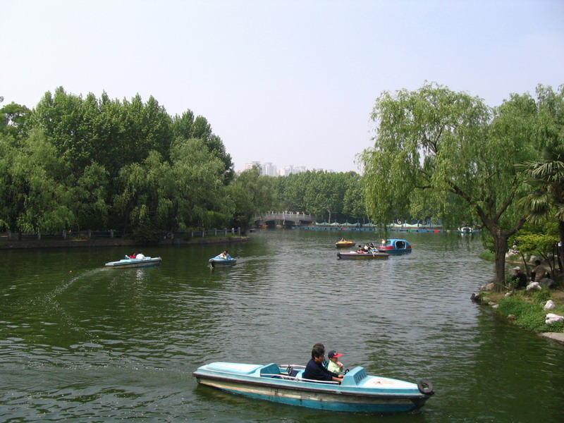 长风公园 摄影 流星花園