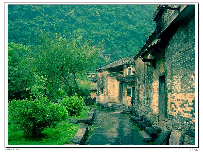 满目青山春带雨 摄影 茶言观色