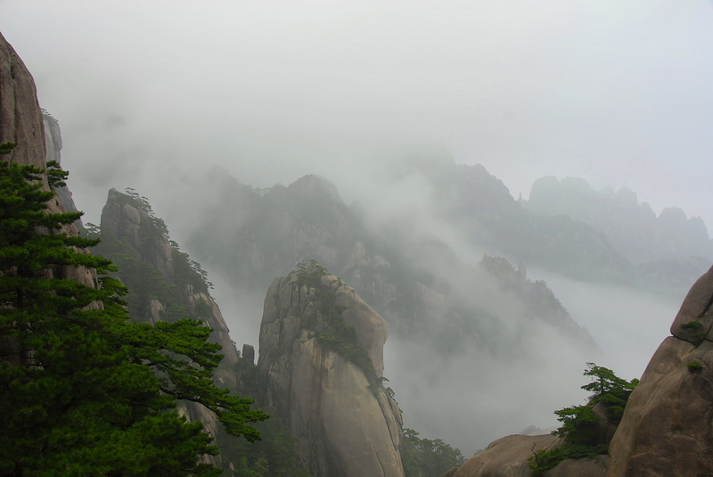 浓雾黄山 摄影 百工居肆