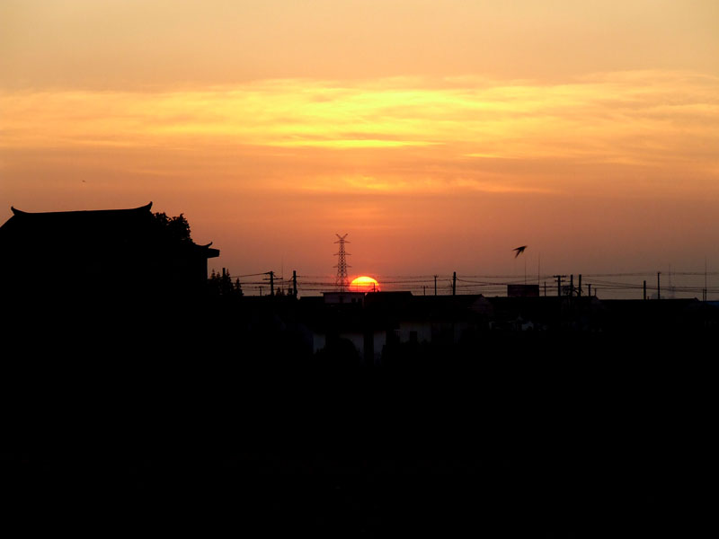 夕阳西下 摄影 枫林中的傻子