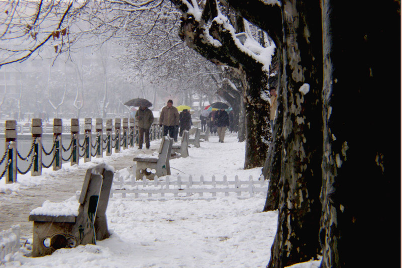 雪景 摄影 南漂