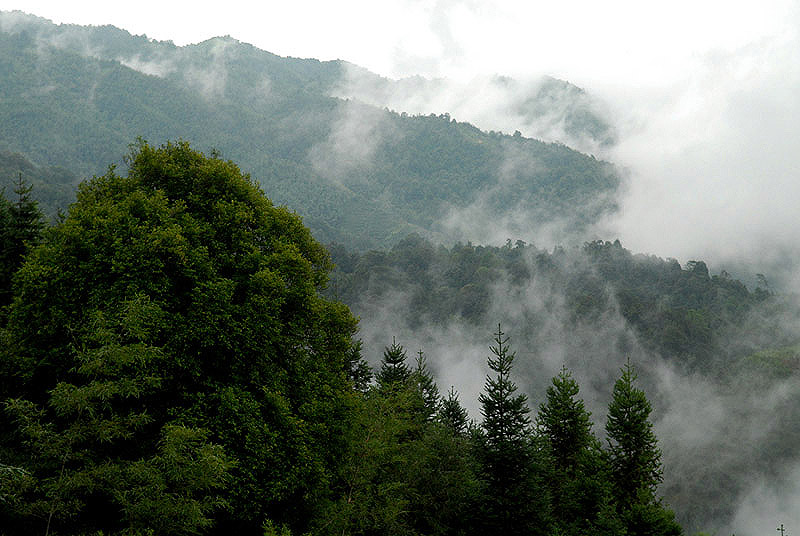 云南省麻栗坡老山一角 摄影 路野茫茫