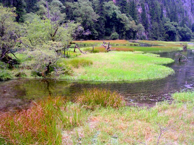 草海如画 摄影 彼岸的风景