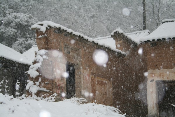 雪景 摄影 竹声涛涛