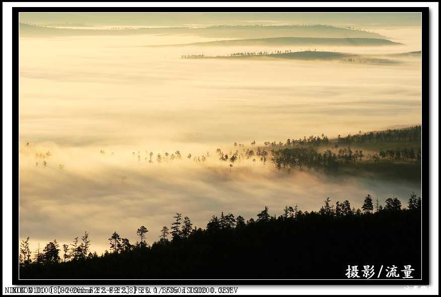 中国北极大兴安岭风光-晨雾 摄影 流量