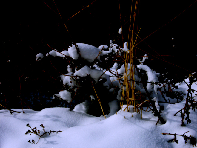 残雪 摄影 爱知堂