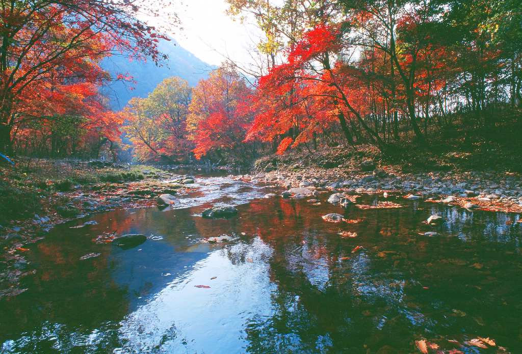 枫叶之乡 摄影 踏青山