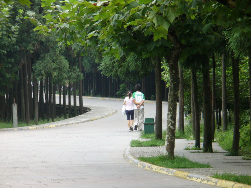 情侣 摄影 雾雨风